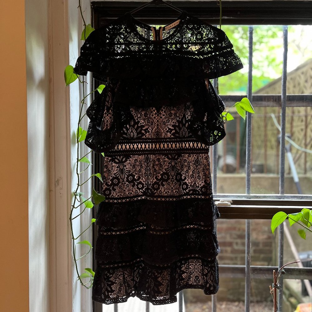 alice + olivia dress